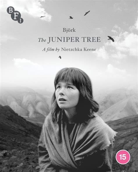 The Juniper Tree! A Story About Jealousy, Revenge, and Unexpected Transformations