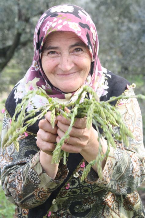 “Yusuf’s Pomegranate”: A Turkish Folktale Exploring Themes of Greed, Kindness, and Hidden Treasures!