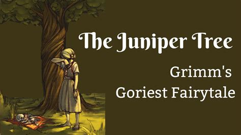 “The Juniper Tree” A Tale Steeped in Envy, Loss, and Magical Transformations!